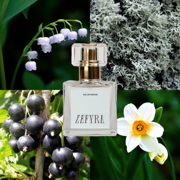 152 moterims kvepalų analogas moterims 152 natos - ZEFYRA