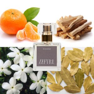 kvepalų analogas vyrams 301 natos - ZEFYRA