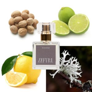 kvepalų analogas vyrams 303 natos - ZEFYRA