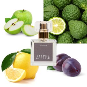 kvepalų analogas vyrams 304 natos - ZEFYRA