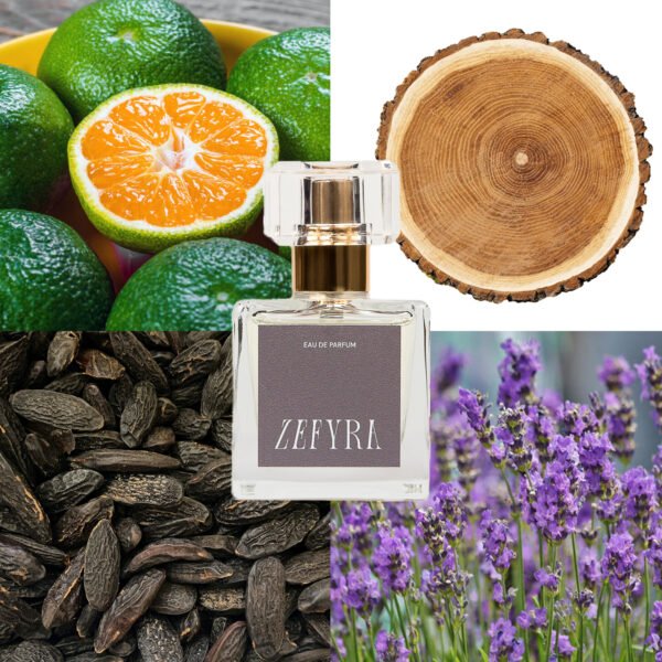 kvepalų analogas vyrams 305 natos - ZEFYRA