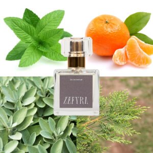 kvepalų analogas vyrams 309 natos - ZEFYRA