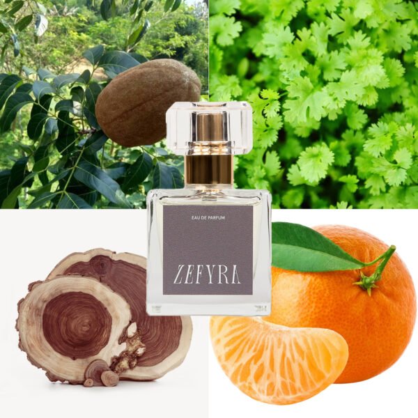 319 vyrams kvepalų analogas vyrams 319 natos - ZEFYRA