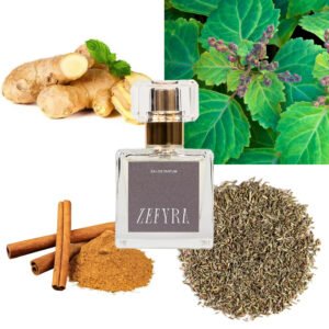 kvepalų analogas vyrams 332 natos - ZEFYRA