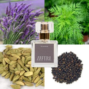 kvepalų analogas vyrams 348 natos - ZEFYRA
