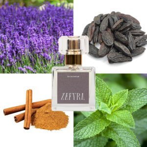 kvepalų analogas vyrams 355 natos - ZEFYRA