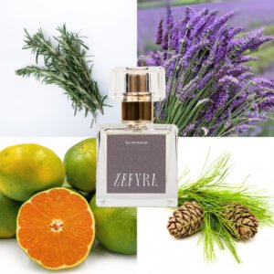 kvepalų analogas vyrams 363 natos - ZEFYRA