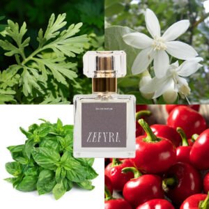 kvepalų analogas vyrams 366 natos - ZEFYRA
