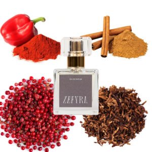 kvepalų analogas vyrams 373 natos - ZEFYRA