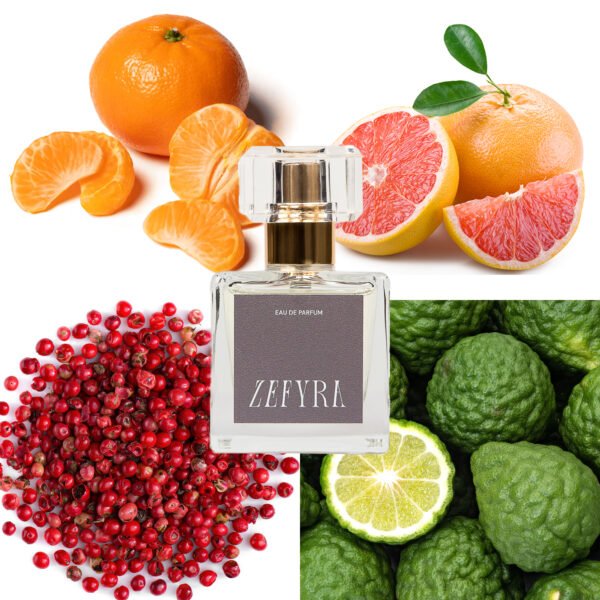 kvepalų analogas vyrams 374 natos - ZEFYRA