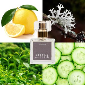 kvepalų analogas vyrams 376-2 natos - ZEFYRA