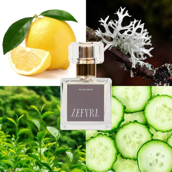 376-2 vyrams kvepalų analogas vyrams 376-2 natos - ZEFYRA