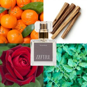 kvepalų analogas vyrams 308 natos - ZEFYRA