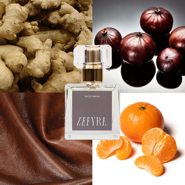 kvepalų analogas vyrams 329 natos - ZEFYRA