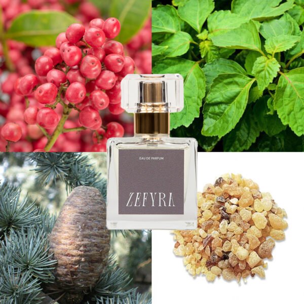 kvepalų analogas vyrams 342 natos - ZEFYRA