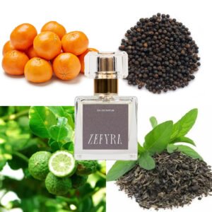 kvepalų analogas vyrams 365 natos - ZEFYRA